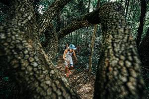 BIB: 
                            <button type="button" onclick="openModal(25392288)" class="btn btn-primary btn-sm float-right btn-popup" data-toggle="modal" data-target=".modal-high-quality">
                        <i class="fas fa-shopping-cart"></i> Add to Cart
                    </button>
                                            <button type="button" onclick="isThisMe(25392288, true)" class="btn btn-success btn-sm float-right btn-popup btn-isme hidden" data-toggle="tooltip" data-placement="bottom" title="นี่คือรูปของคุณใช่ไหม คลิกที่นี่เพื่อเอาเข้าอัลบั้ม">
                        <i class="fas fa-plus"></i> Add to album
                    </button>
                    <button type="button" onclick="isThisMe(25392288, false)" class="btn btn-warning btn-sm float-right btn-popup btn-isnotme hidden">
                        <i class="fas fa-ban"></i> Remove from album
                    </button>